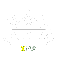  X999